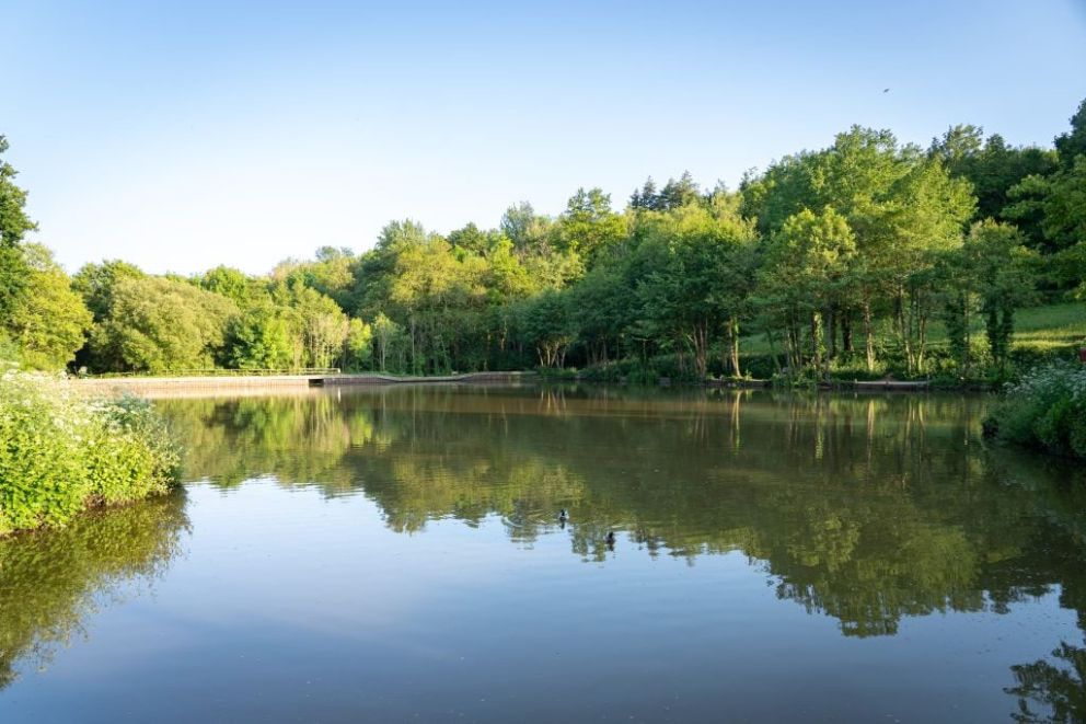 Finlake fishing lake