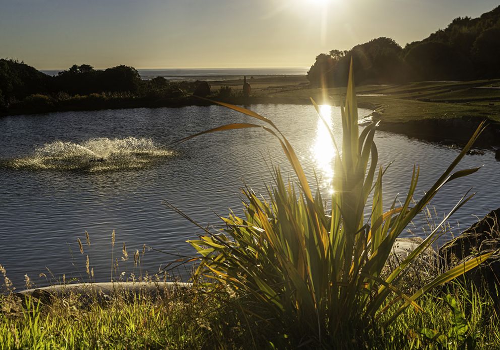9 Woodside Luxury Lodges
